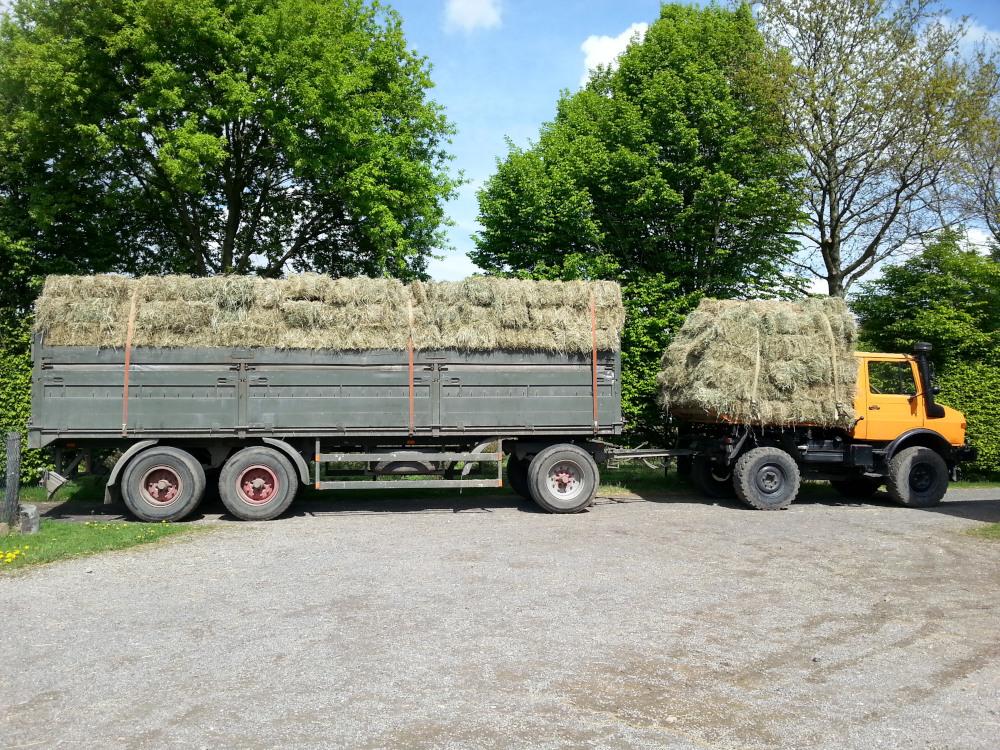 LKW-Zug fertig zur Auslieferung vom Bauernhof Mankwald