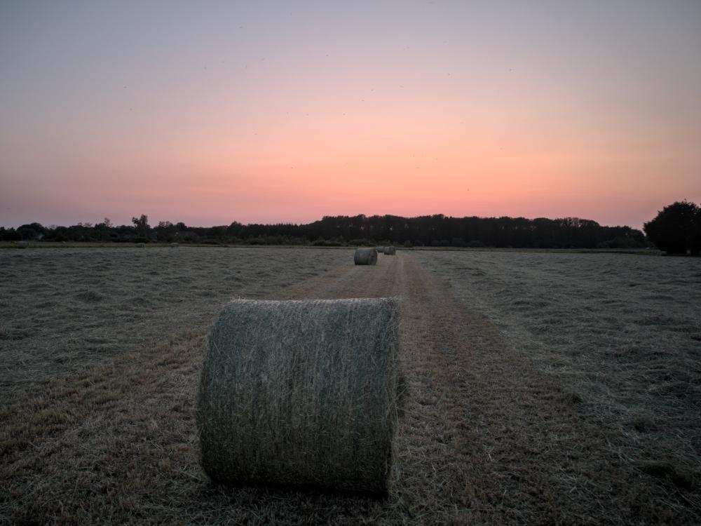 Heuballen in der Abenddämmerung