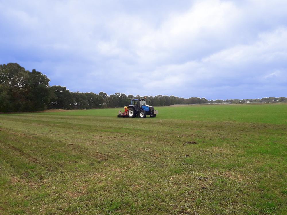 Traktor bei der Heuwiesenpflege auf dem Bauernhof Mankwald